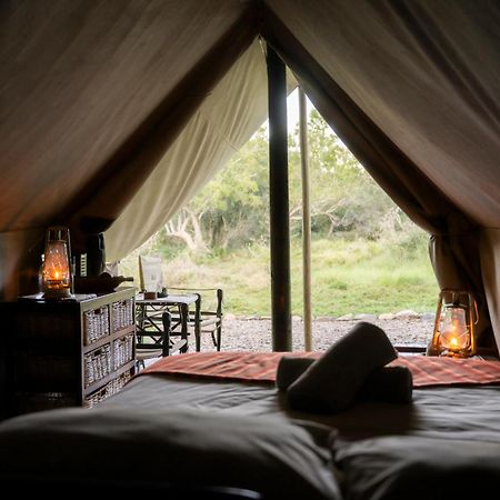 Quatermain'S 1920'S Safari Camp - Réserve animalière d'Amakhala Extérieur photo