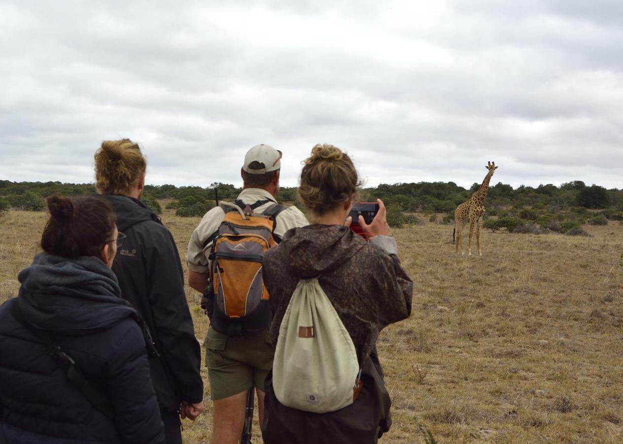 Quatermain'S 1920'S Safari Camp - Réserve animalière d'Amakhala Extérieur photo