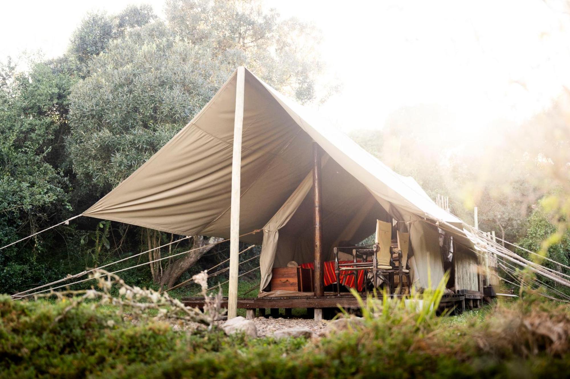 Quatermain'S 1920'S Safari Camp - Réserve animalière d'Amakhala Extérieur photo