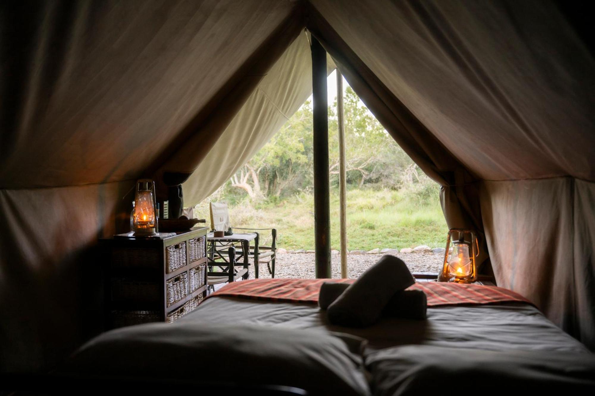 Quatermain'S 1920'S Safari Camp - Réserve animalière d'Amakhala Extérieur photo