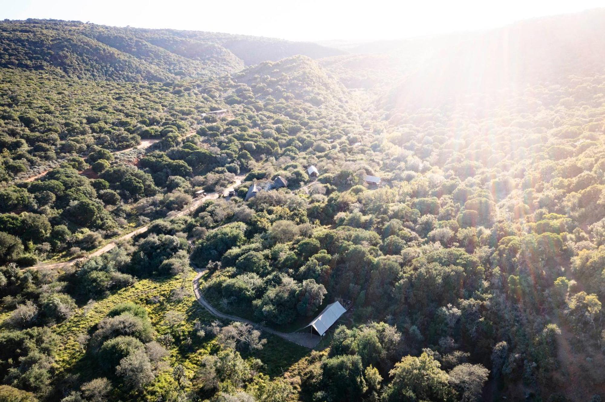 Quatermain'S 1920'S Safari Camp - Réserve animalière d'Amakhala Extérieur photo