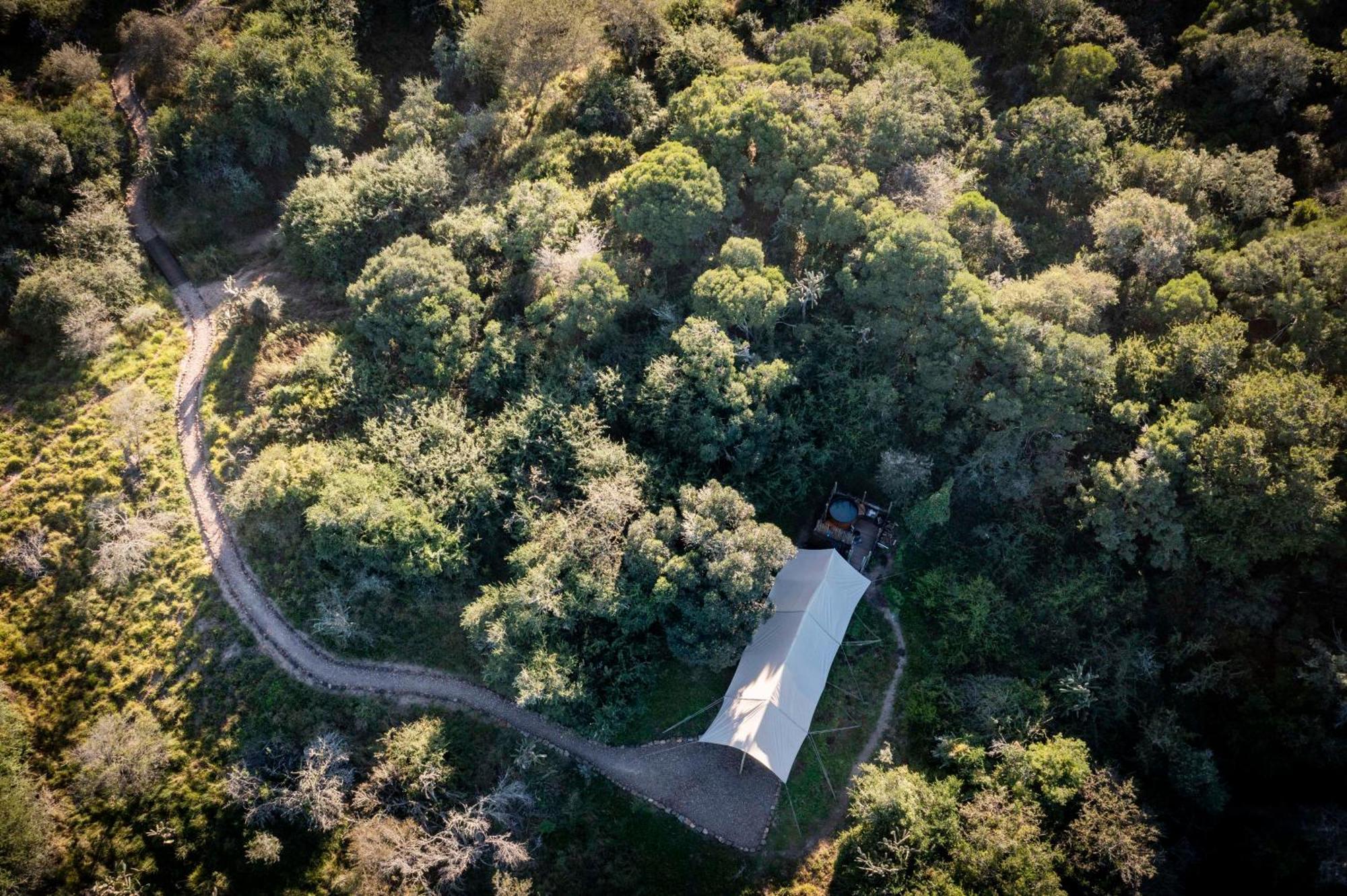 Quatermain'S 1920'S Safari Camp - Réserve animalière d'Amakhala Extérieur photo