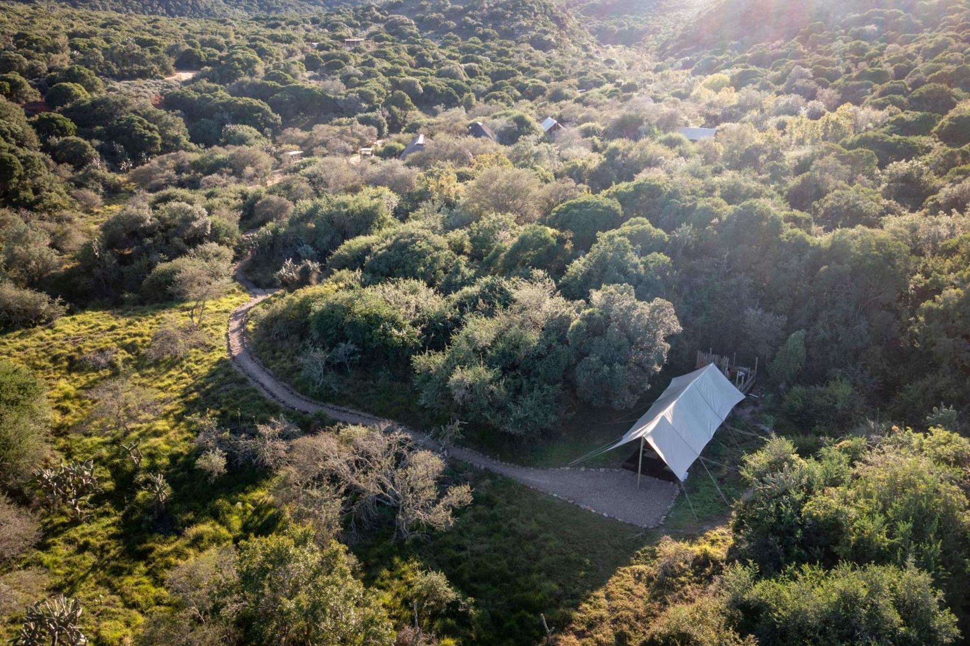 Quatermain'S 1920'S Safari Camp - Réserve animalière d'Amakhala Extérieur photo