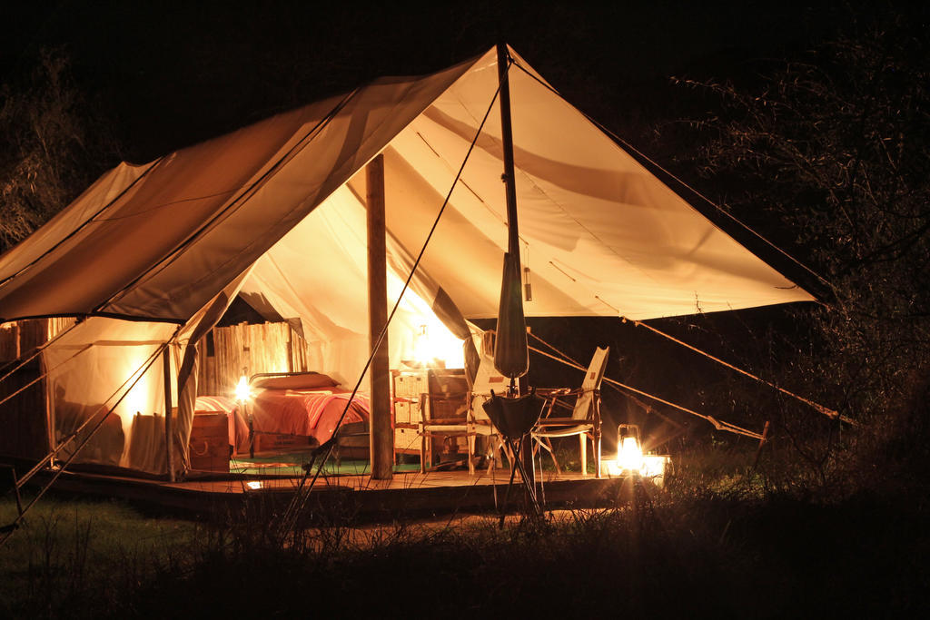 Quatermain'S 1920'S Safari Camp - Réserve animalière d'Amakhala Extérieur photo