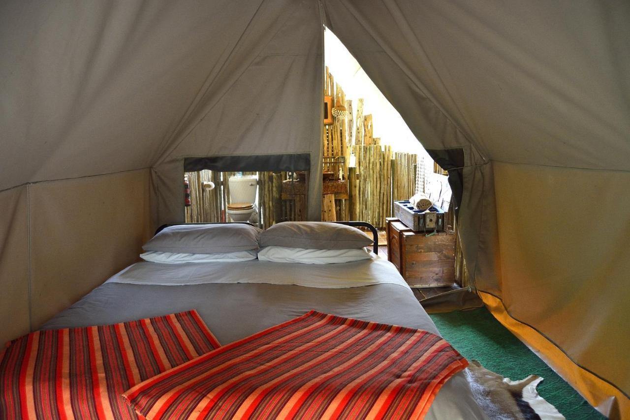Quatermain'S 1920'S Safari Camp - Réserve animalière d'Amakhala Extérieur photo